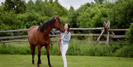 horse photographer