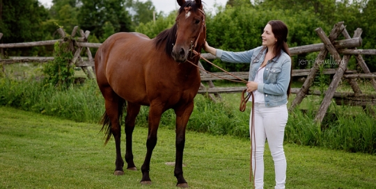 horse farm portraits