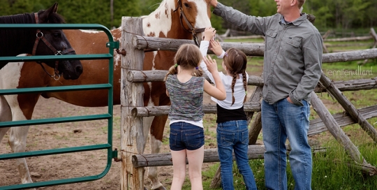 horse farm portrait