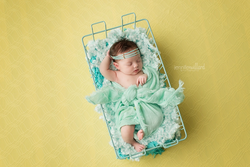 napanee baby photographer