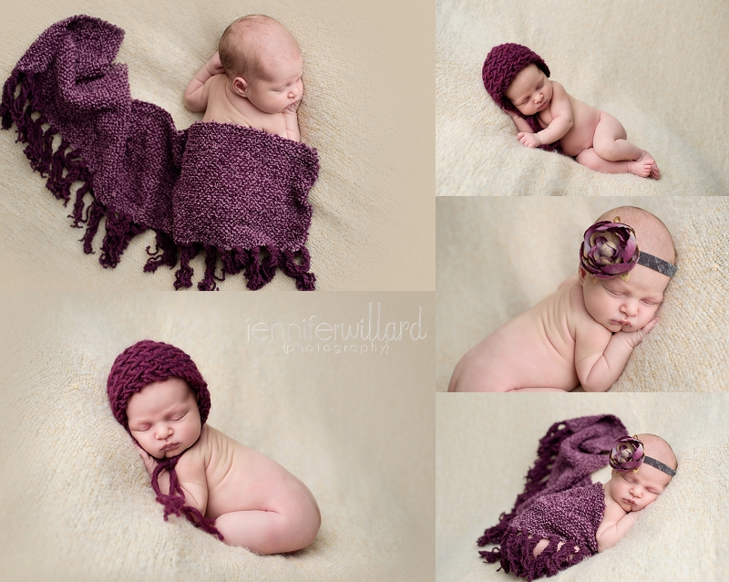 cream and purple newborn photography