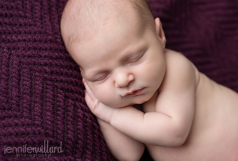 purple newborn portrait