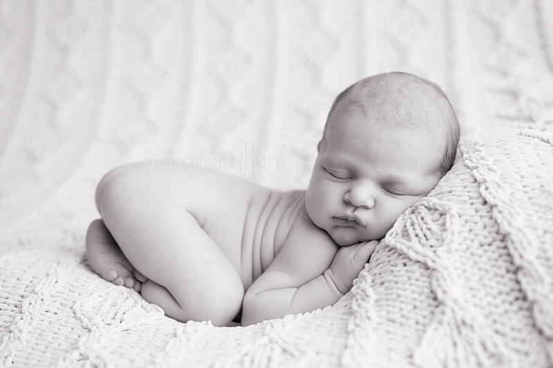 newborn portraits