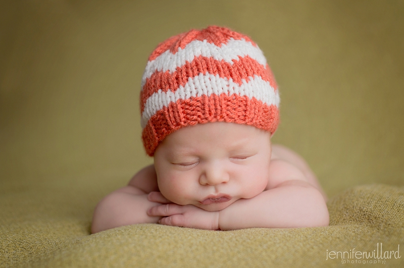 kingston newborn photographer