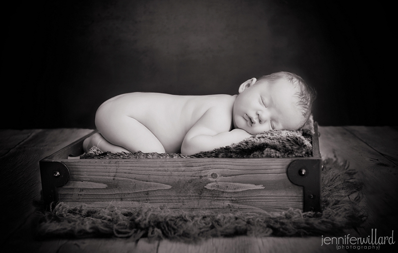 newborn portraits in kingston