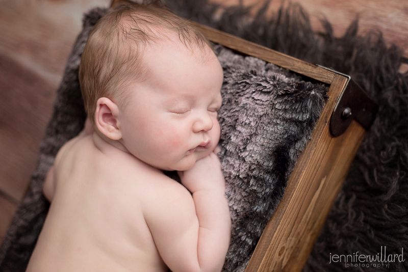 kingston newborn photographer