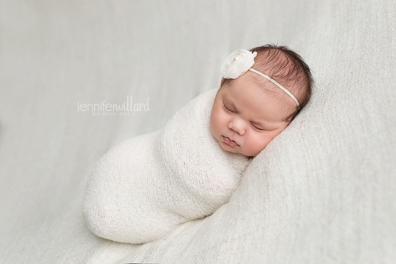 kingston newborn photography