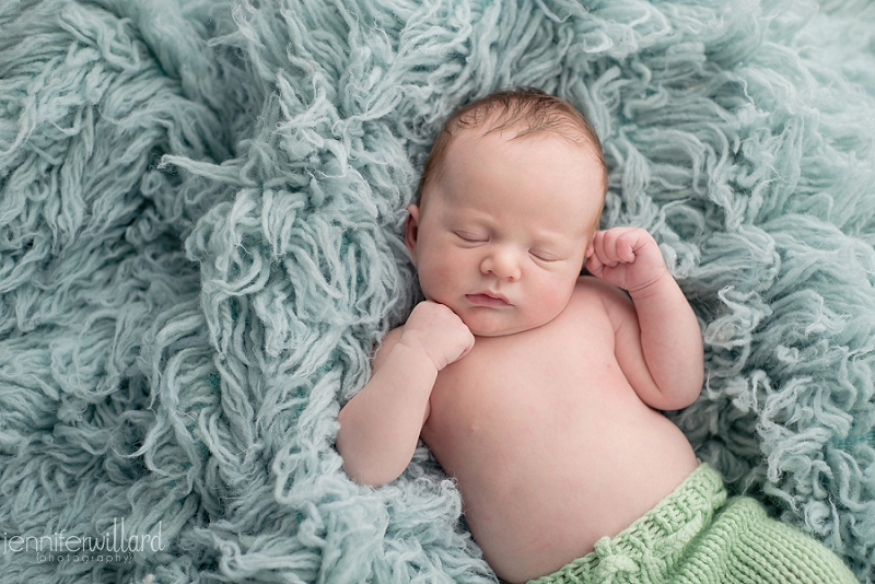 kingston newborn photography