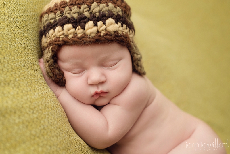 kingston newborn portraits