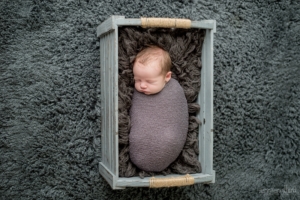 newborn baby in basket