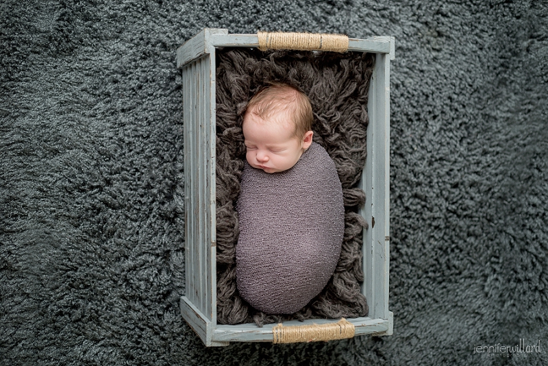 newborn baby in basket