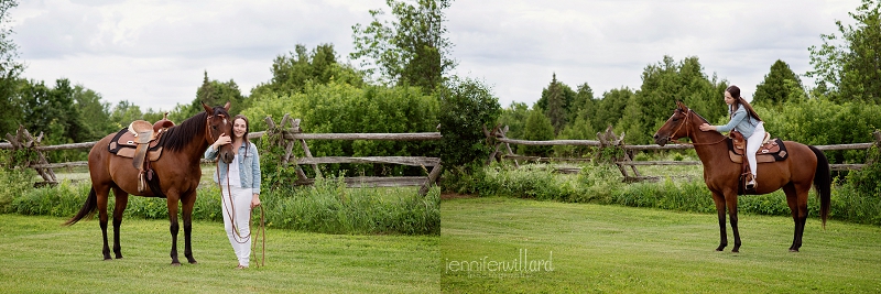 equine portraits in kingston