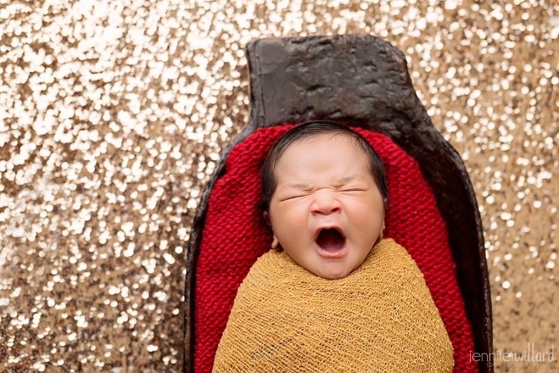 kingston-newborn-photography_0010