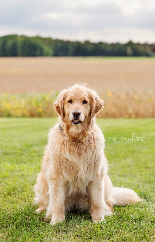 extended-family-farm-photography-kingston-ontario-family-photographer-024