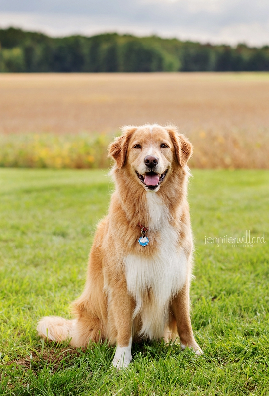 extended-family-farm-photography-kingston-ontario-family-photographer-025