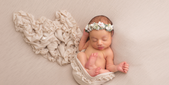 newborn baby girl cream ruffle wrap flower halo kingston newborn photographer