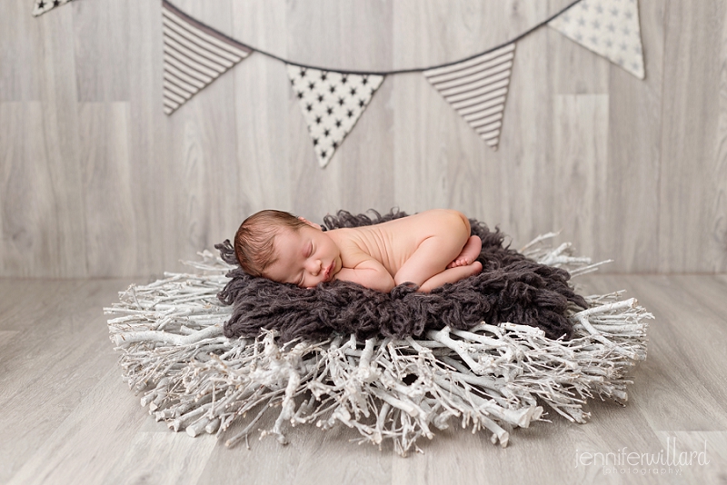 newborn-baby-boy-on-white-branch-nest-photography-kingston-portrait-studio-01