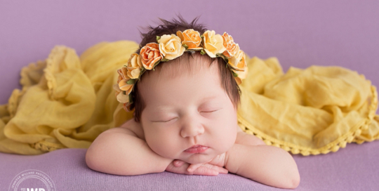 newborn girl yellow flower headband purple blanket Kingston family photographer