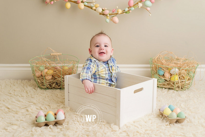 baby studio portrait 6 month sitter session Easter Set Kingston Baby Photographer