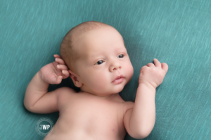 newborn-baby-boy-blue-blanket-Kingston-Newborn-Photographer