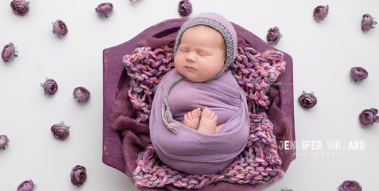 newborn-baby-girl-purple-wrap-purple-flowers-Kingston-baby-photographer