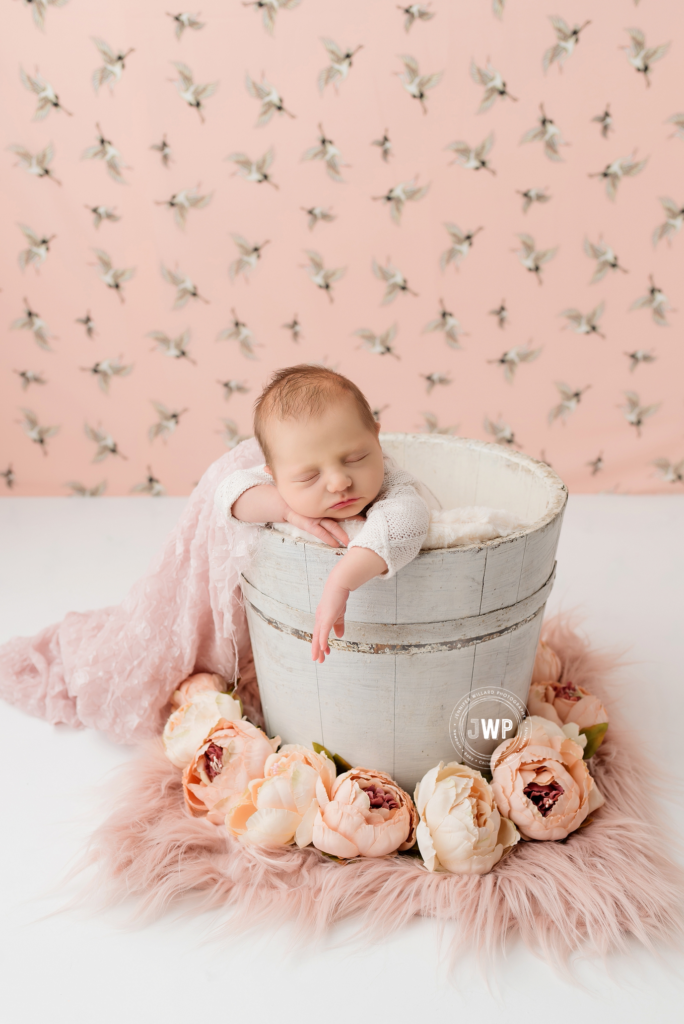 newborn girl in sap bucket with flowers bird backdrop Kingston Photographer