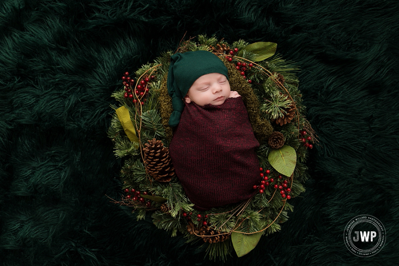 newborn posed portrait Christmas wreath burgundy wrap green fur Kingston Newborn Photographer