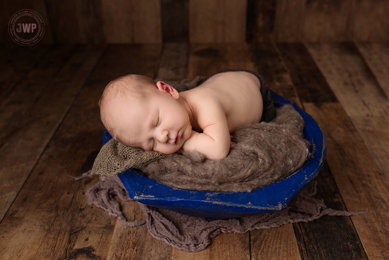 newborn posed portrait blue bowl brown fur Kingston Newborn Photographer