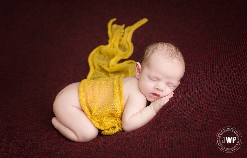 newborn posed portrait burgundy blanket yellow wrap Kingston Newborn Photographer