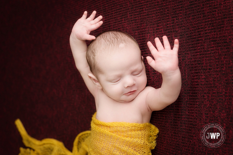 newborn posed portrait burgundy blanket yellow wrap Kingston Newborn Photographer