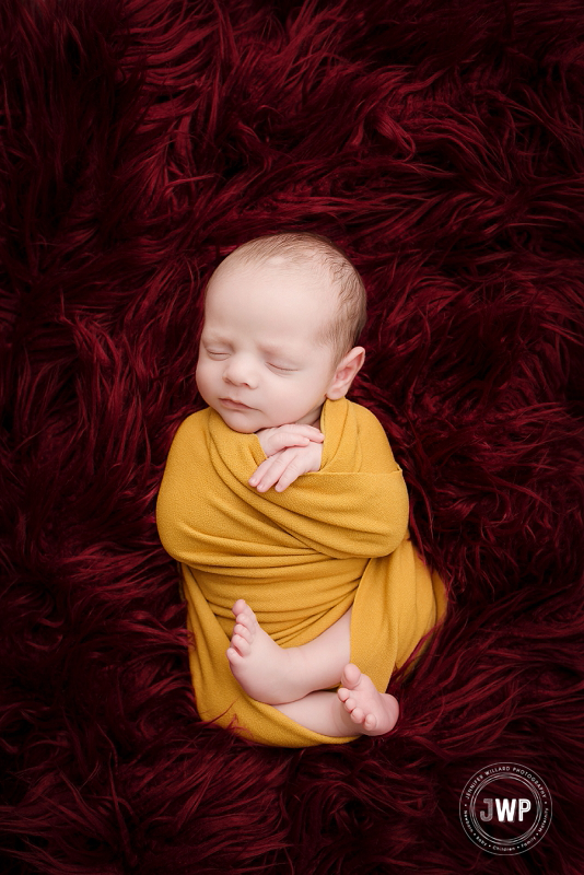 newborn posed portrait burgundy fur mustard wrap Kingston Newborn Photographer