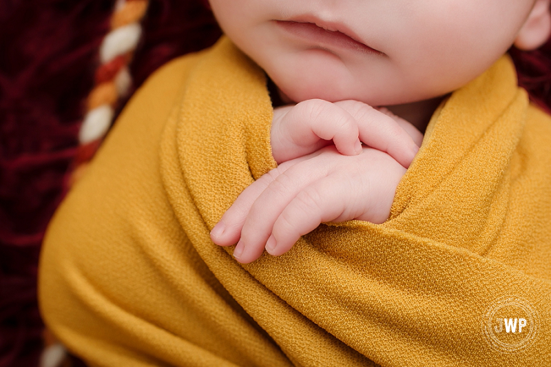 newborn posed portrait burgundy fur mustard wrap fingers Kingston Newborn Photographer