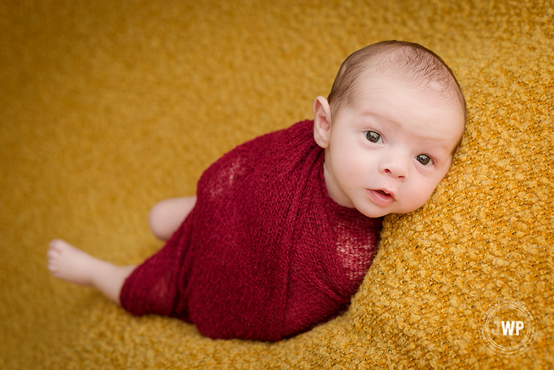 newborn posed portrait mustard yellow blanket burgundy wrap Kingston Newborn Photographer