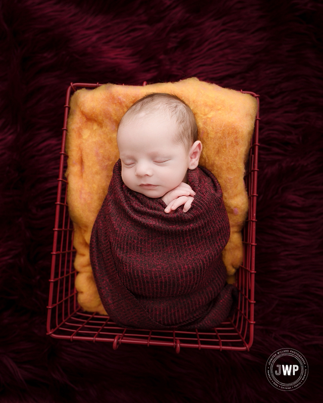 newborn posed portrait red basket burgundy wrap Kingston Newborn Photographer