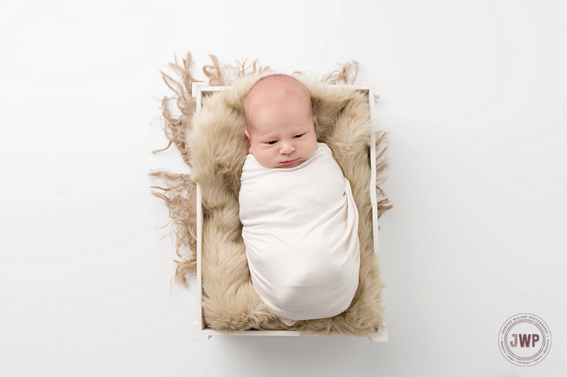 newborn posed portrait white wrap crate Kingston Newborn Photographer