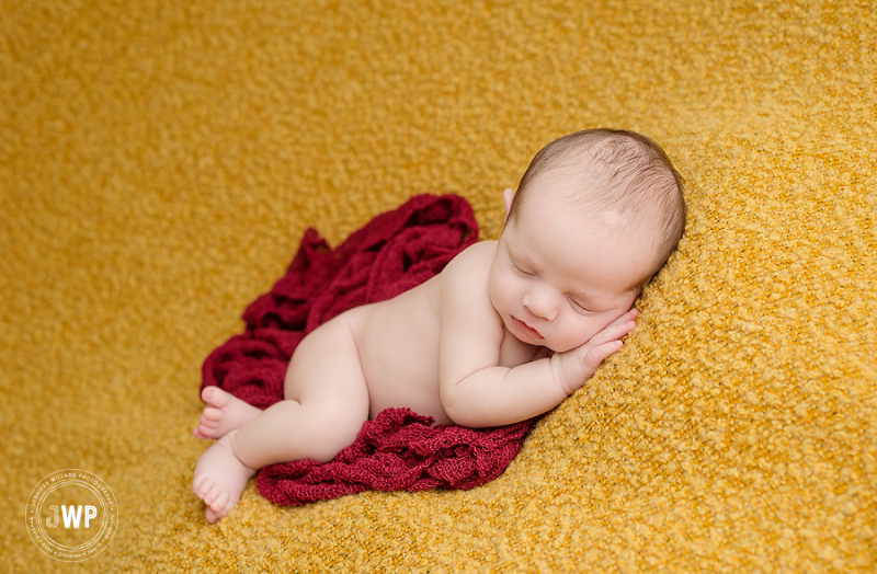 newborn posed portrait yellow blanket burgundy wrap Kingston Newborn Photographer