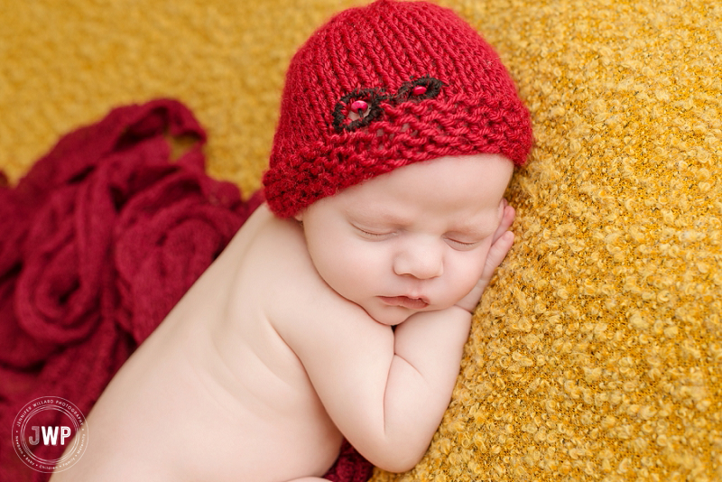 newborn posed portrait yellow blanket burgundy wrap hat Kingston Newborn Photographer