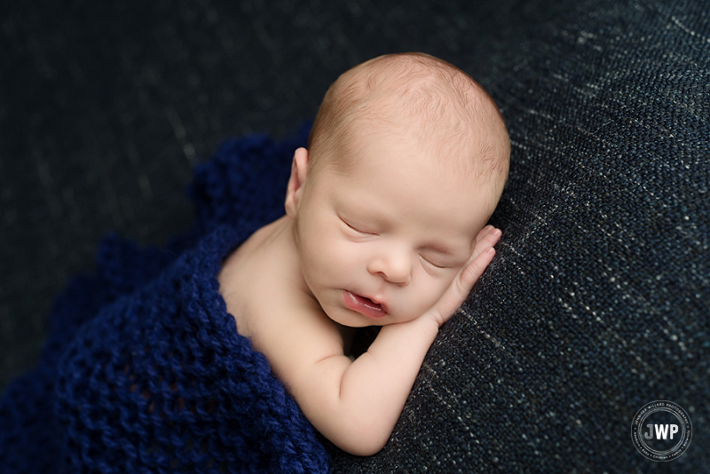 posed newborn picture blue blanket blue wrap Kingston Newborn Photographer