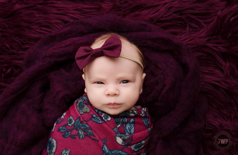 posed newborn picture plum fur headband wrap Kingston Newborn Photographer