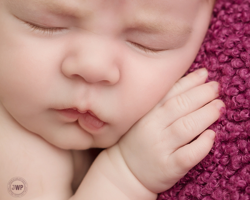 posed newborn picture purple blanket Kingston Newborn Photographer