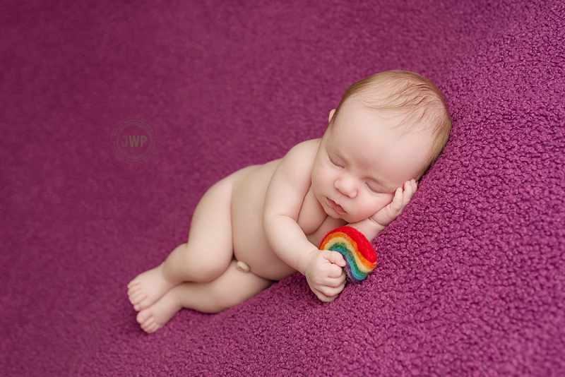 posed newborn picture purple blanket rainbow baby Kingston Newborn Photographer