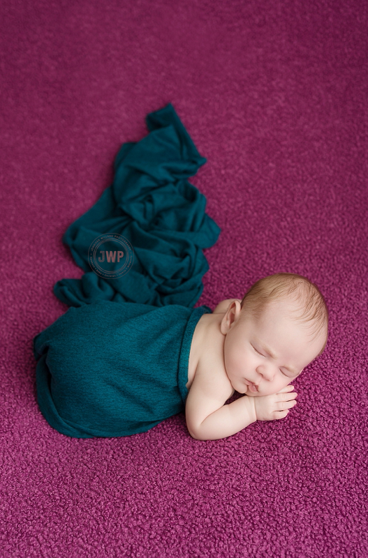 posed newborn picture purple blanket teal wrap Kingston Newborn Photographer