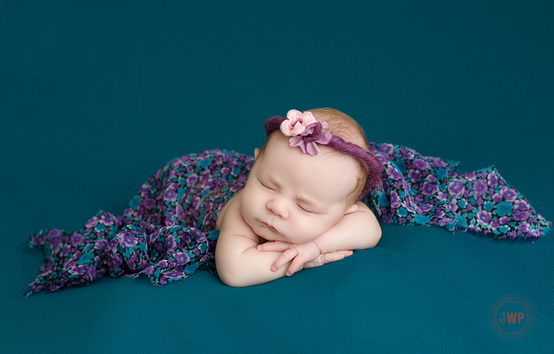 posed newborn picture teal blanket purple headband Kingston Newborn Photographer