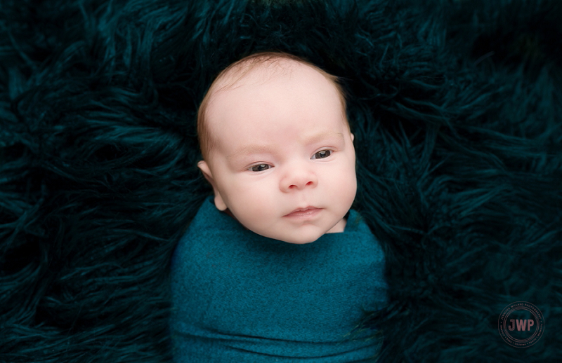 posed newborn picture teal wrap fur Kingston Newborn Photographer