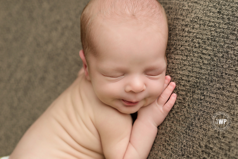 posed newborn portrait boy brown blanket Kingston Newborn Photographer