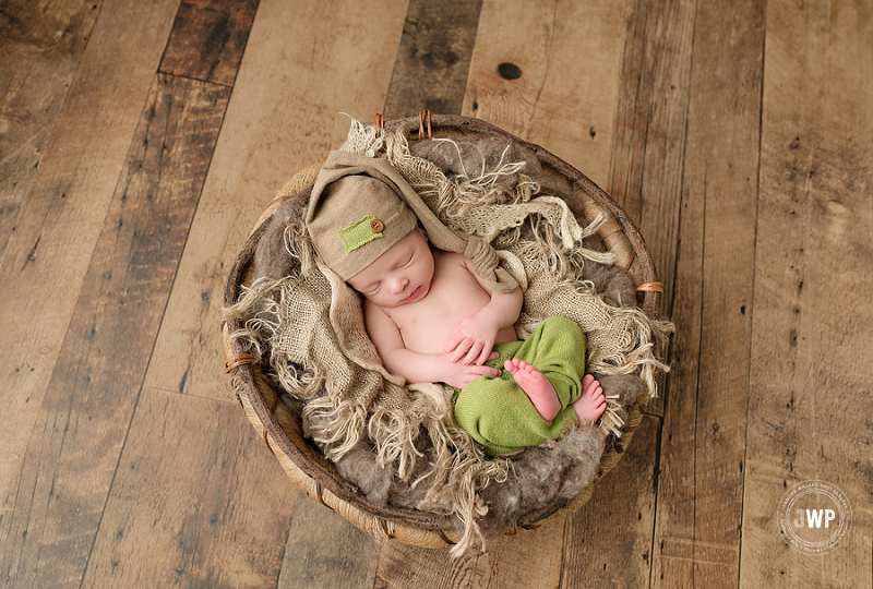 posed newborn portrait boy green pants brown hat twig bowl Kingston Newborn Photographer