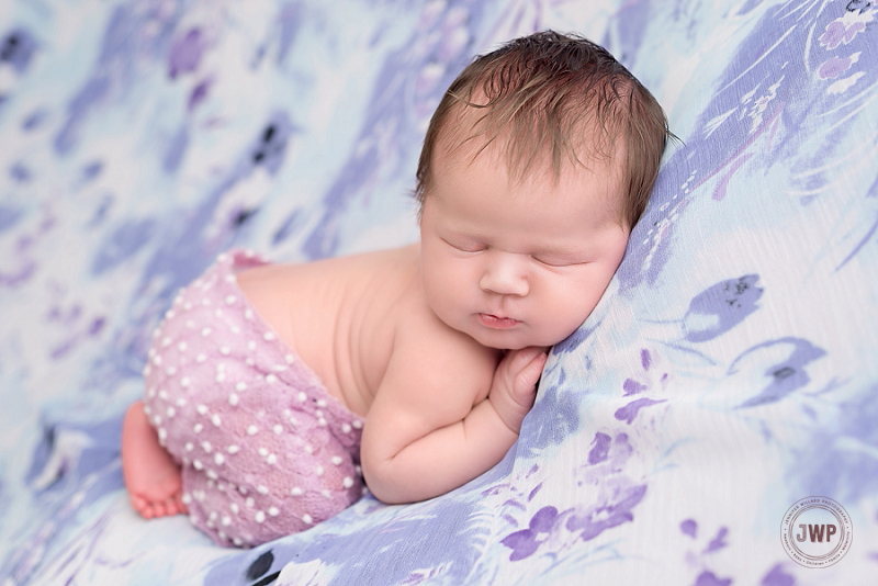 posed newborn portrait purple Spring flower blanket Kingston Newborn Photographer