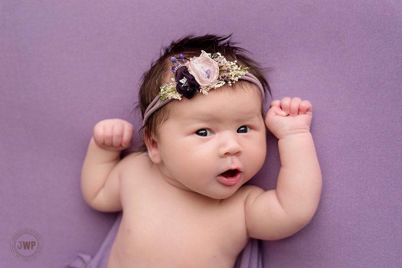 posed newborn portrait purple blanket flower headband Kingston Newborn Photographer