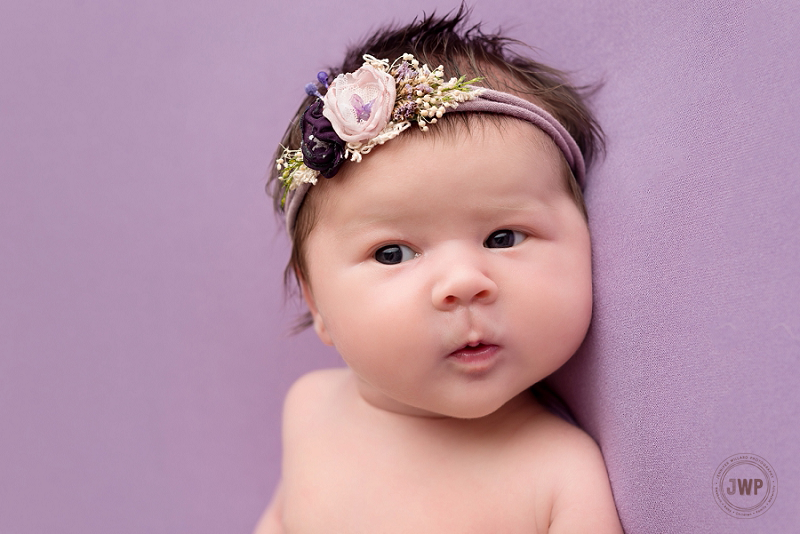 posed newborn portrait purple blanket flower headband Kingston Newborn Photographer