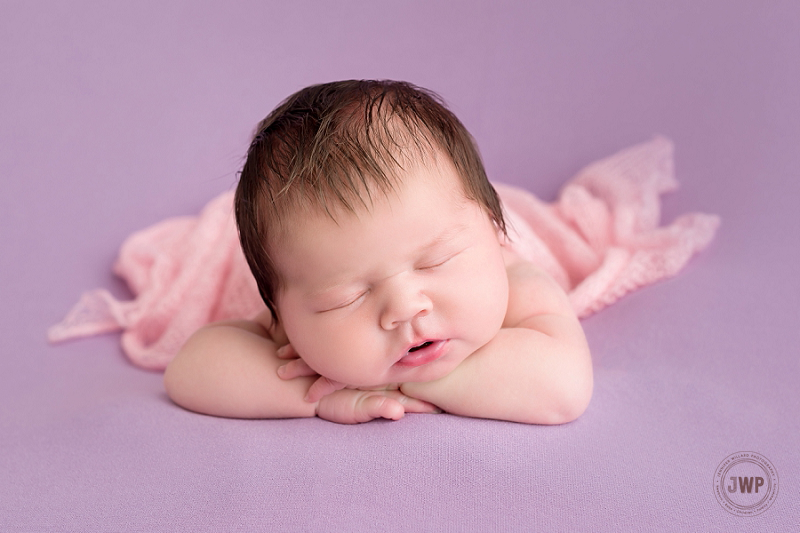 posed newborn portrait purple blanket pink wrap Kingston Newborn Photographer